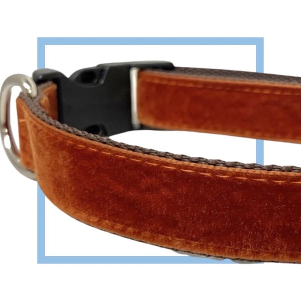 Rust Velvet Dog Collar, Leash or Harness with Personalized Buckle Option