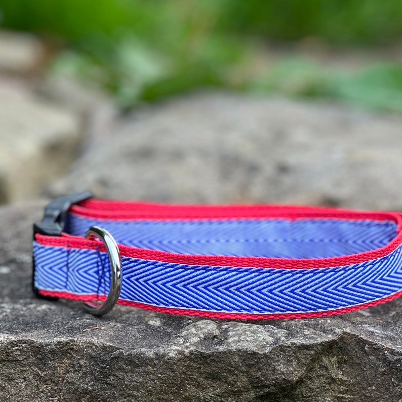 Red White & Blue Chevron Dog Collar, Harness or Leash with Personalized Metal Buckle Option image 7