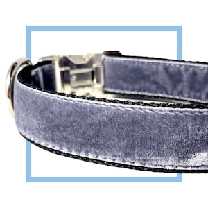 Gray Velvet Dog Collar, Leash or Harness with Personalized Buckle Option