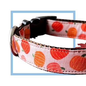 Pink Pumpkin Dog Collar, Leash or Harness with Personalized Buckle Option