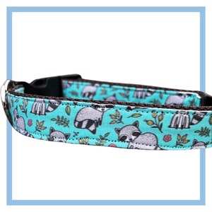 Raccoon Dog Collar, Harness or Leash with Personalized Engraved Buckle Option