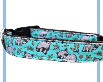 Raccoon Dog Collar, Harness or Leash with Personalized Engraved Buckle Option