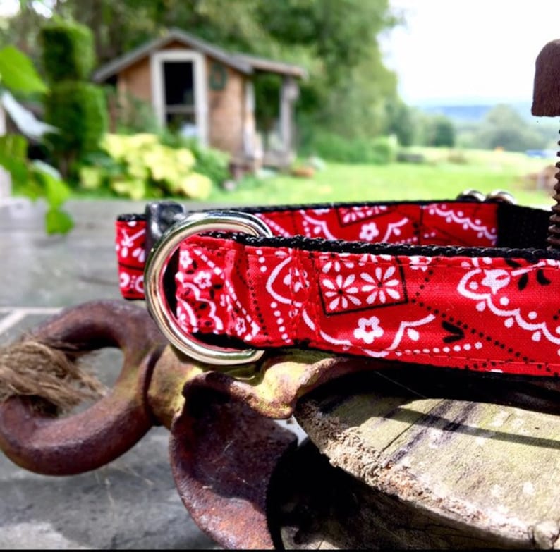 Red Bandana Country Dog Collar Bandanna Dog Harness & Leash Etsy