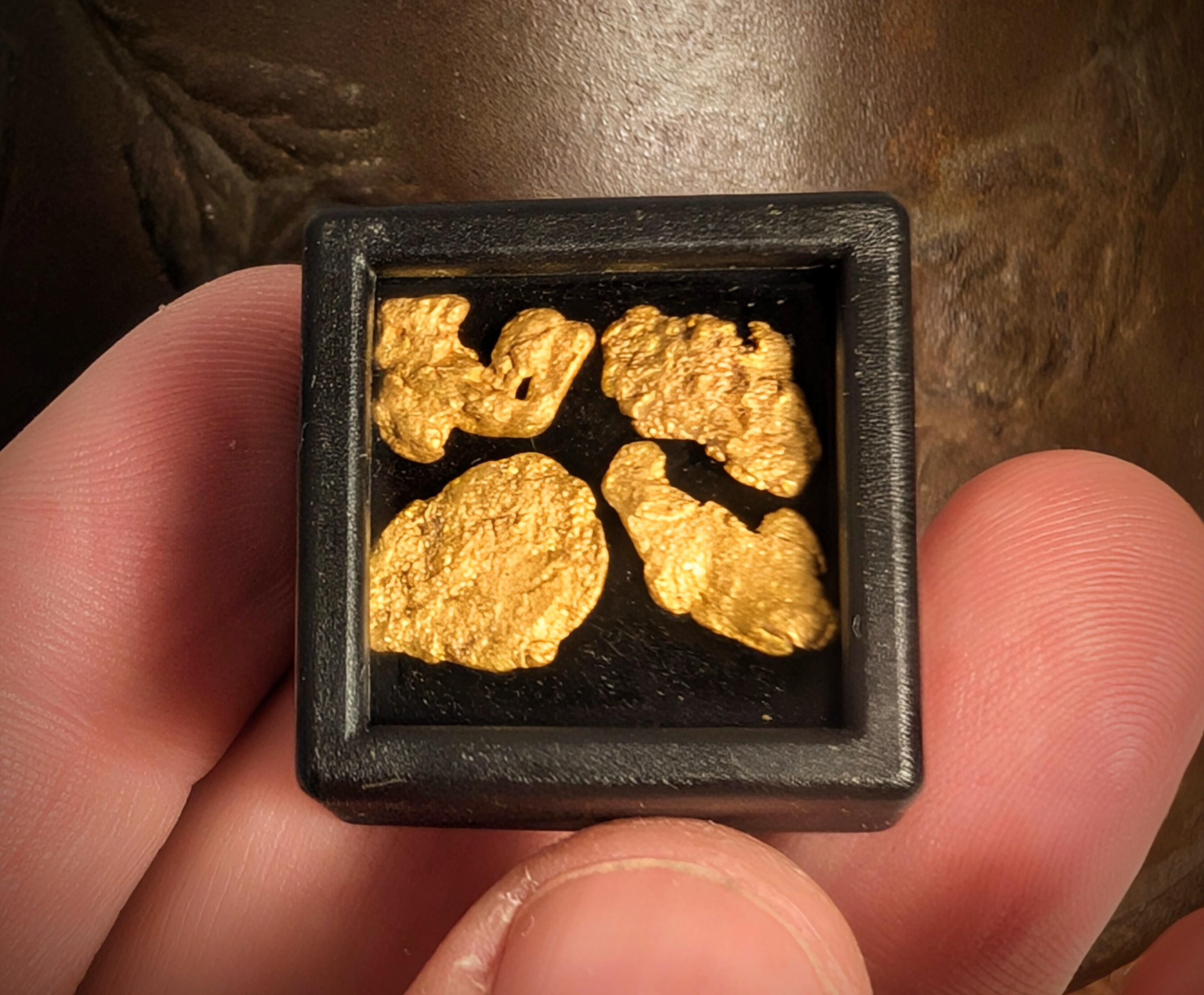 Arizona Gold Nuggets | American Mined | Genuine Natural Specimen