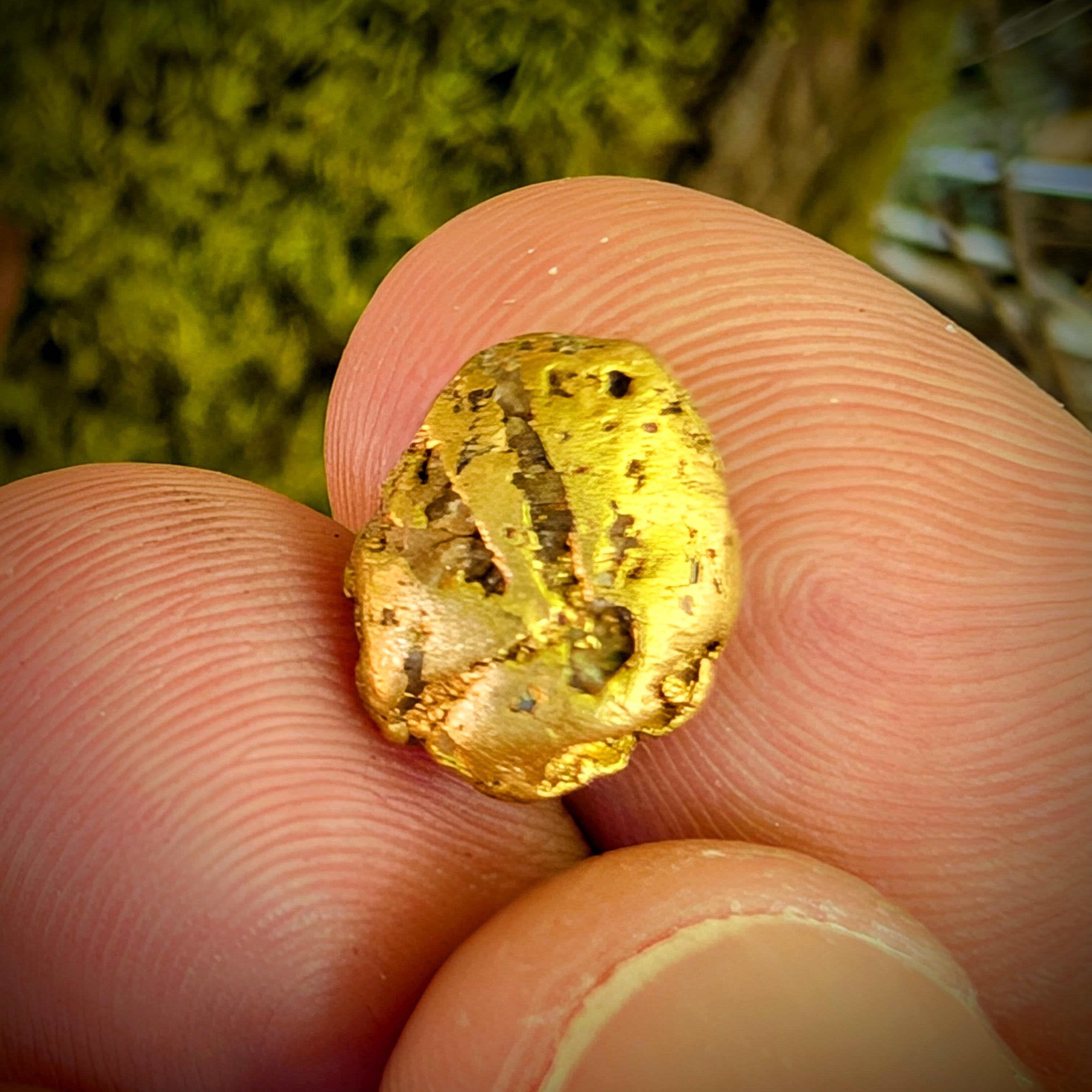 American Mined Gold Nugget - Genuine Gold Specimen - Raw Fairbanks