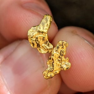 May include: A pair of gold stud earrings featuring an irregular, textured nugget shape. Each earring has a bright, metallic yellow finish with a rough, uneven surface that mimics the appearance of raw, unrefined gold nuggets in a small size.