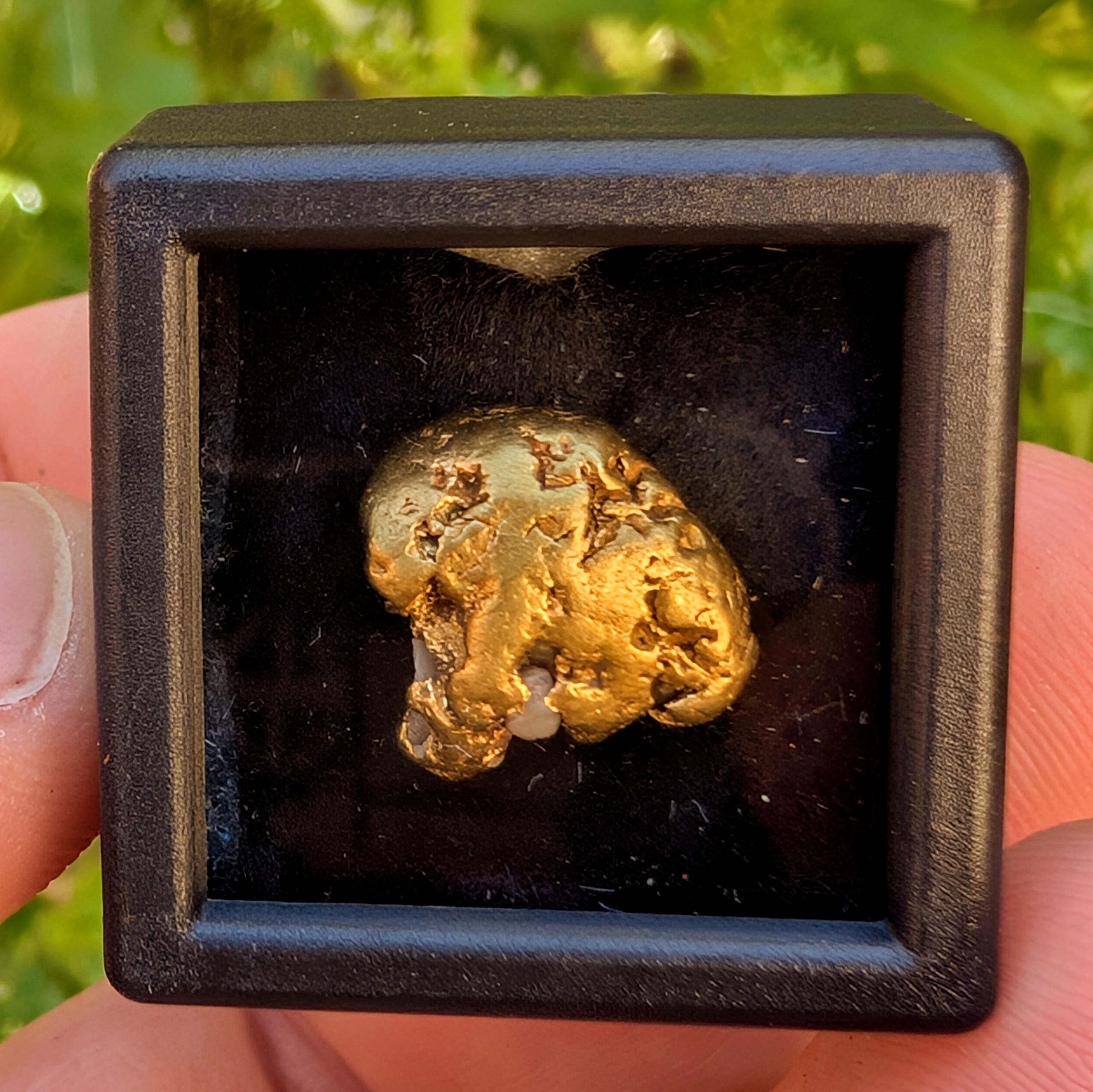 Alaska Gold Nugget - American Mined Gold - Genuine Gold Specimen