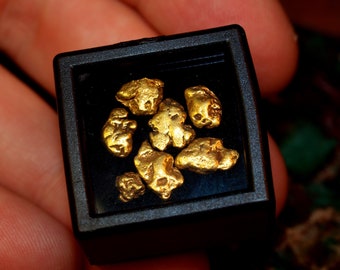 Genuine Gold from Alaska - Authentic Natural Placer Gold - Coarse Raw Gold Nuggets - Alaska Gold Miners - Precious Metal 3.15 grams (N1711)