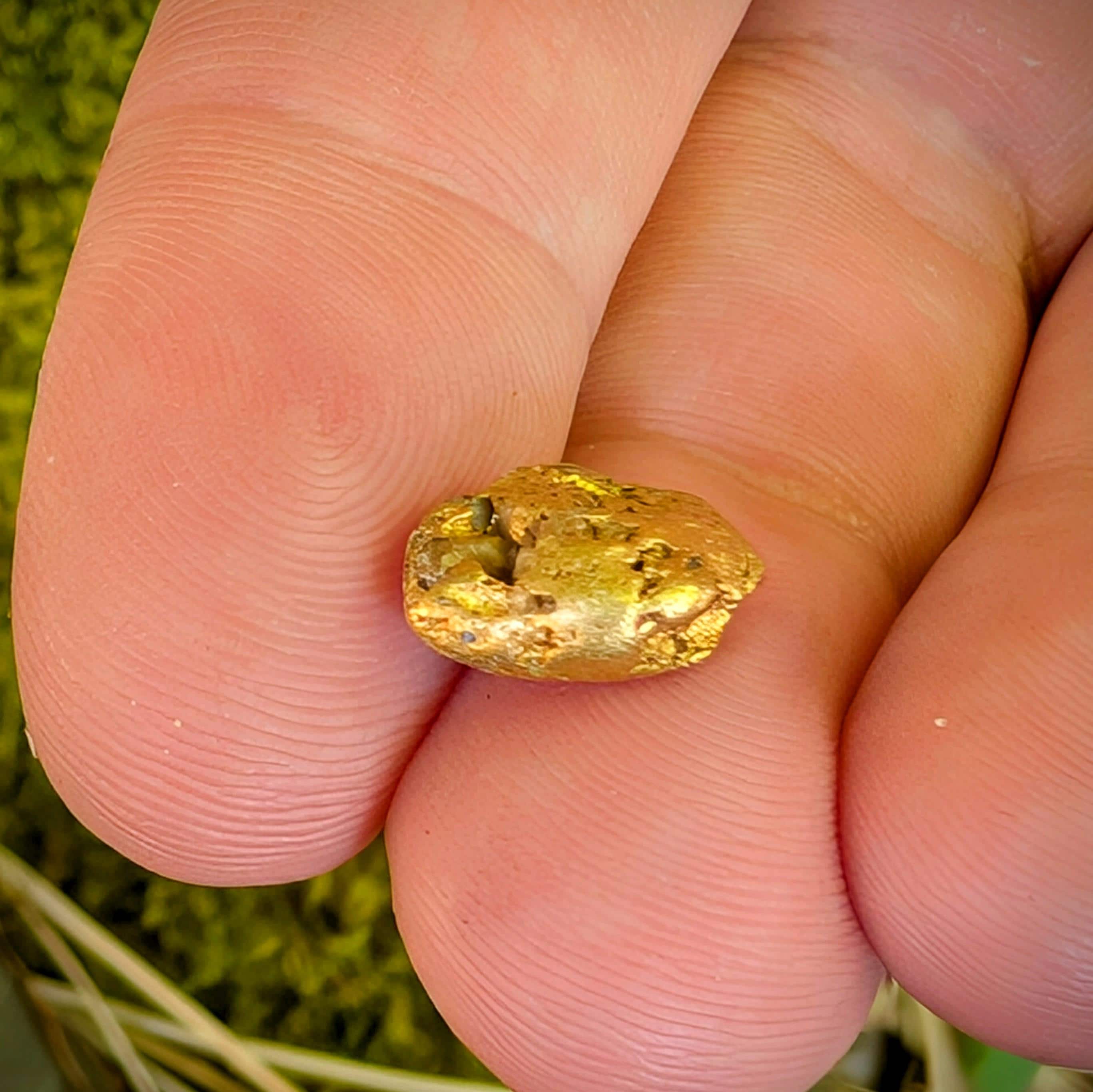 American Mined Gold Nugget - Genuine Gold Specimen - Raw Fairbanks