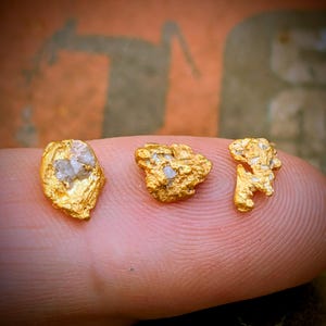 Raw Placer Gold Nuggets - California Gold - Genuine Gold Nuggets - Rare Gold Mineral Specimens - Precious Metal 2.62 grams (N2306)