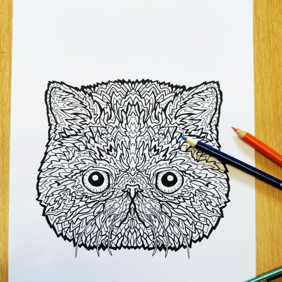 Exotic Shorthair Cat Colouring Sheet Complicated Cats Etsy