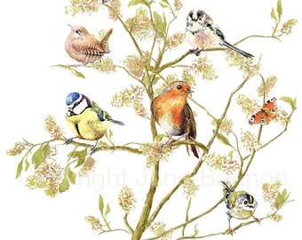 Pájaros de jardín, tarjeta de felicitación, tarjeta reciclada y sobre.