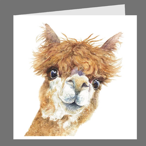 Alpaca, greetings card,  recycled card and envelope