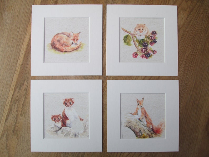 Fox Prints NEW SET x 4 Watercolour Hare,Stoat,Fieldmouse in mounts 6/" x 6/"
