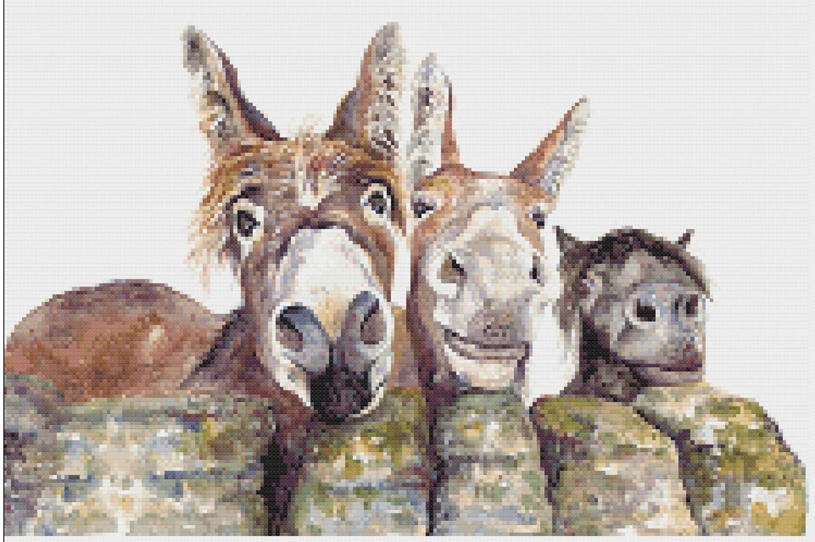 Counted Cross Stitch Kit Donkeys Etsy UK