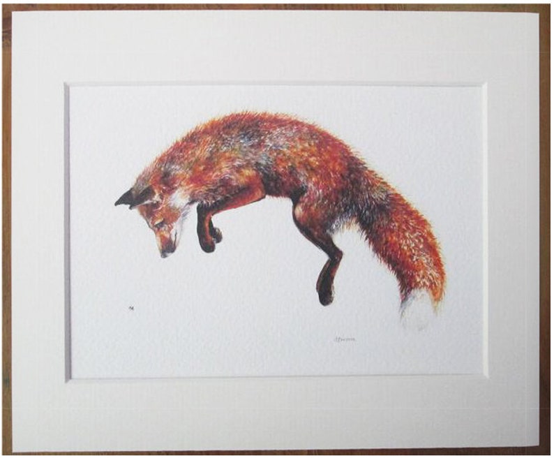 watercolour print Fox and bee Felix In a 14 x 11 mount. Printed directly onto watercolour paper