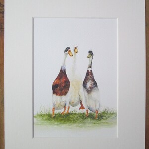 watercolour print Fox and bee Felix In a 14 x 11 mount. Printed directly onto watercolour paper