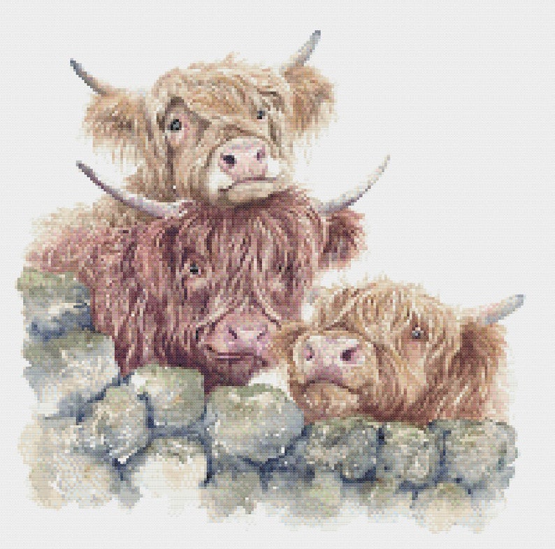 Counted Cross Stitch Kit Highland Cows Etsy