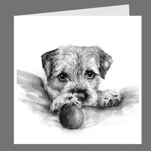 Op de afbeelding: Zwart-wit illustratie van een kleine hond met een bal. De hond ligt, rustend met zijn poten op een kussen, en kijkt de kijker recht aan. De bal ligt voor de hond.