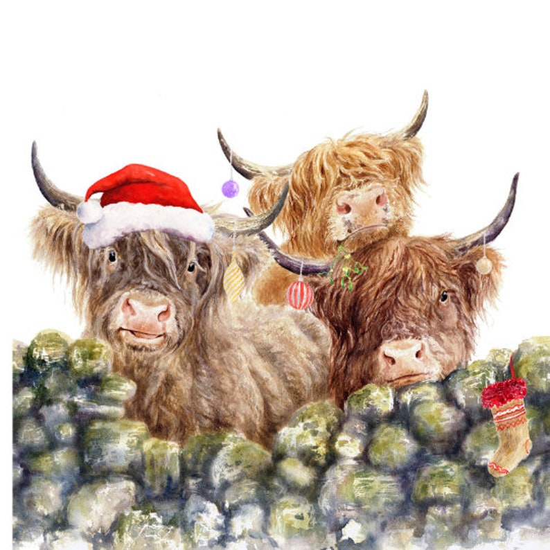 Highland Cows Christmas Greetings Cards Pack of 6 . Recycled - Etsy UK