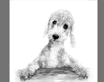 Bedlington terrier,  greetings card,  recycled card and envelope