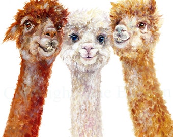 Alpaca, greetings card,  recycled card and envelope