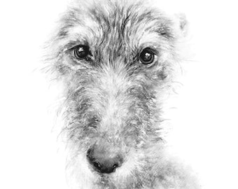 Lurcher,  greetings card,  recycled card and envelope