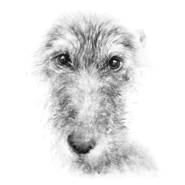 Lurcher,  greetings card,  recycled card and envelope
