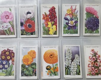 May include: A collection of vintage Wills's Cigarettes flower cards, each featuring a different floral illustration. The cards are displayed in a clear plastic sheet, showcasing the variety of colorful blooms, including anemones and calendula.
