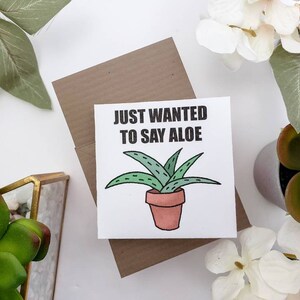 succulents buy in bulk Aloe Set - 4 Inch Containers | Succulents for Sale | Succulent Market