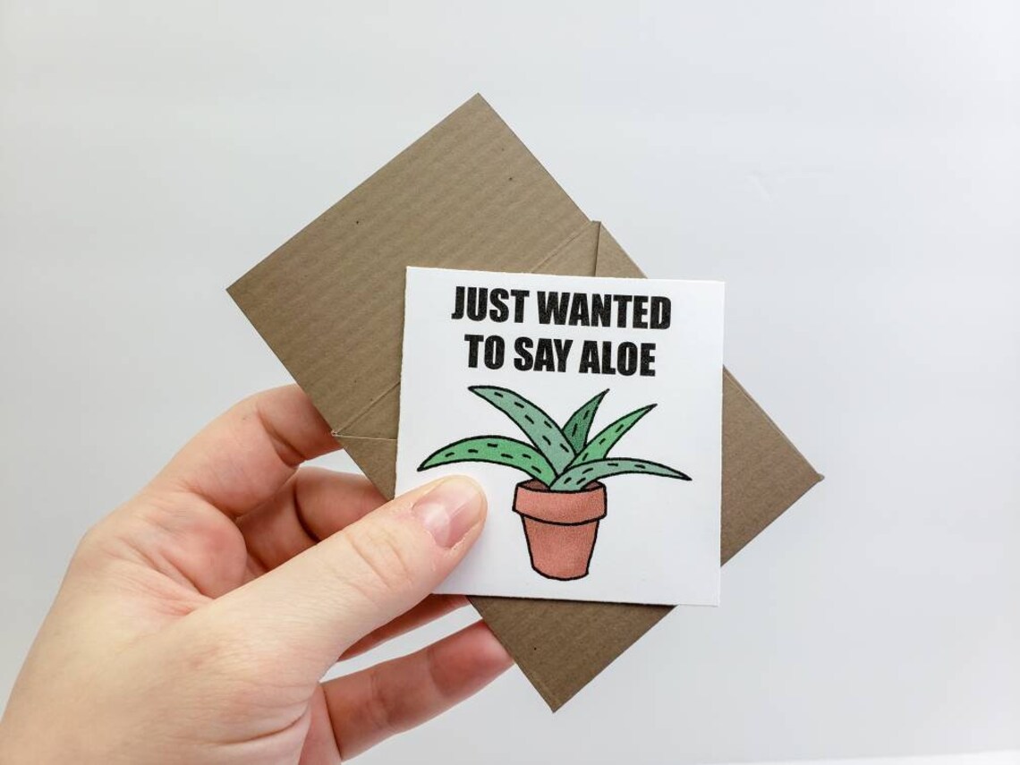 Funny Just Because Greeting Card Funny Succulent Card Etsy
