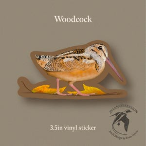 Puede incluir: Adhesivo de vinilo de 8,9 cm con una ilustración detallada de una becada. El ave tiene plumas marrones, beige y blancas, un pico largo y rosado, y está sobre hojas amarillas. El adhesivo tiene un contorno marrón.