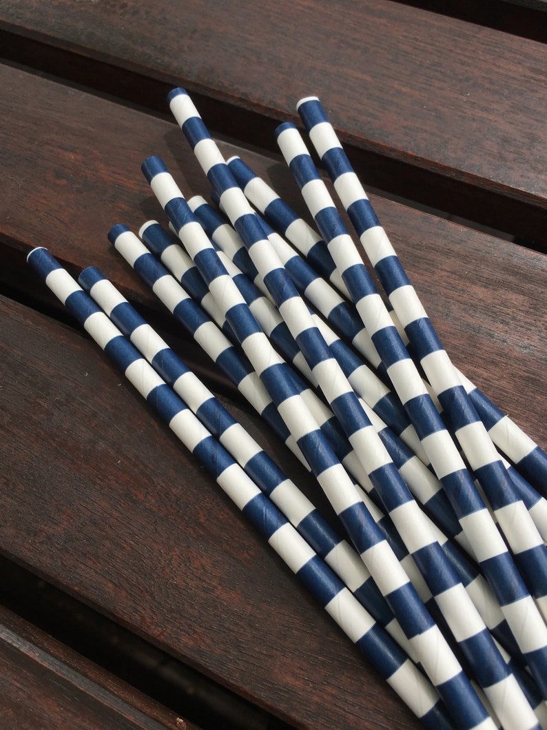 Navy Stripe Paper Straw Set of 10 Etsy