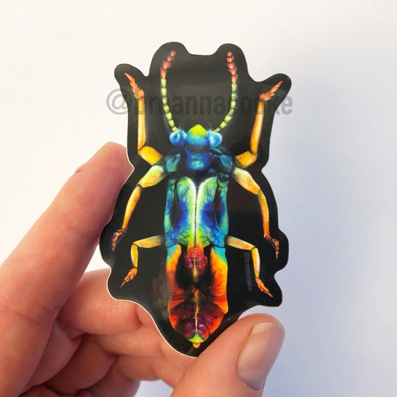 Jewel Beetle Body Paint Sticker 2 x 3 Etsy
