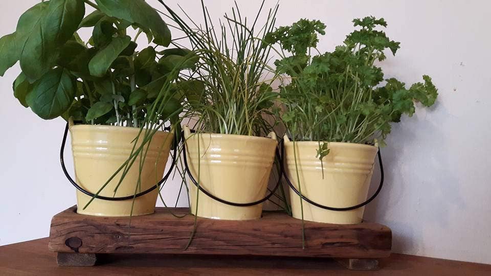 Planter Indoor Planter Herb Garden Ceramic Planters Etsy