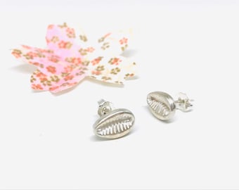 Cowrie Sea Shell Stud Earrings in Solid Sterling Silver 925, very easy to wear everyday