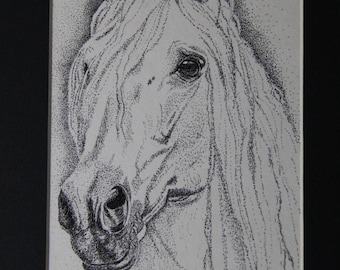 Horse Pen & Ink Art Print