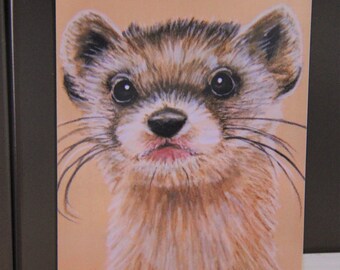 Ferret Portrait Magnet