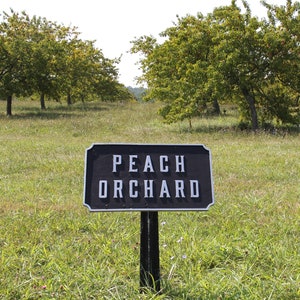 Peach Orchard / Gettysburg Battlefield - Photograph