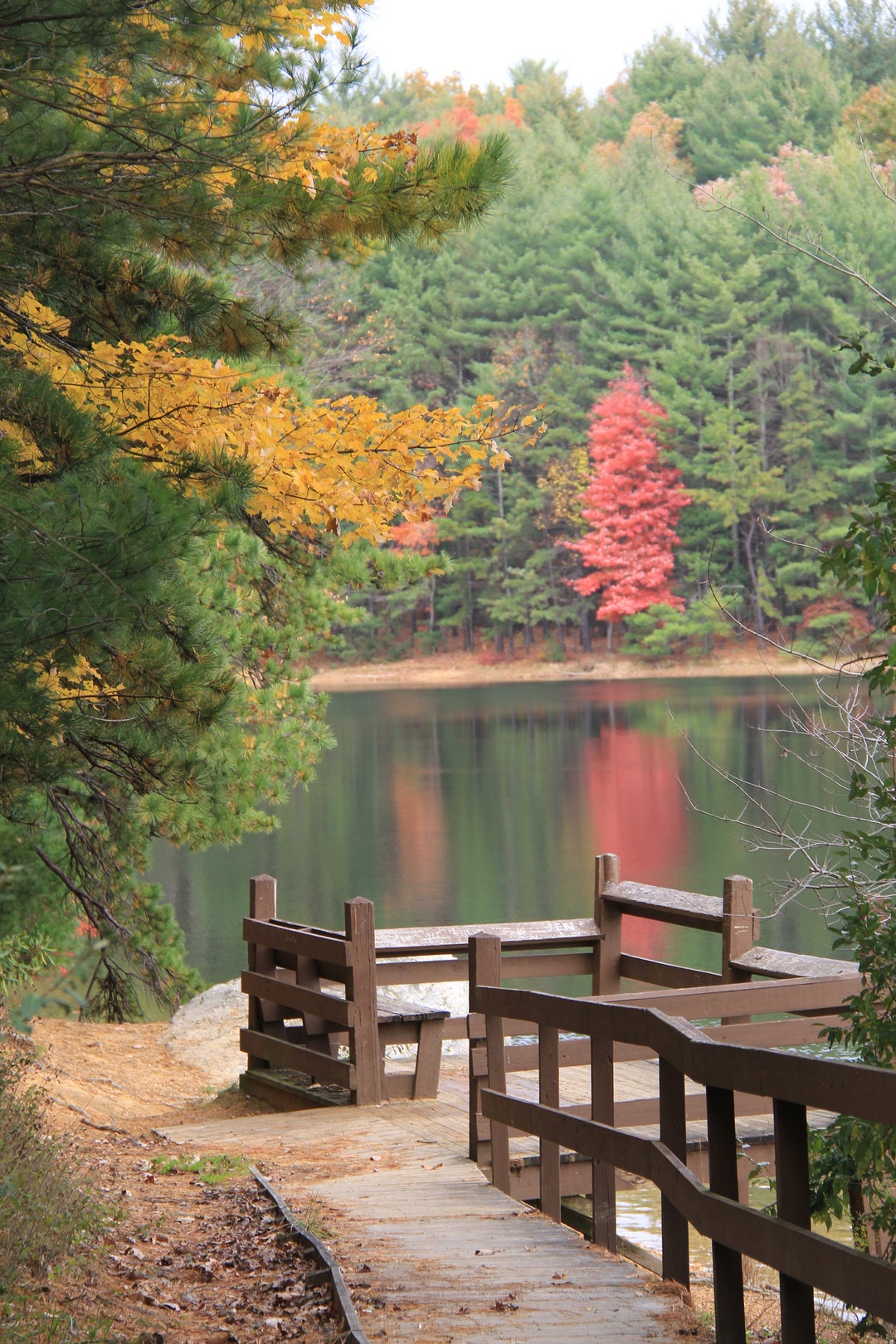 Caledonia Reservoir Caledonia State Park, PA Photograph Etsy
