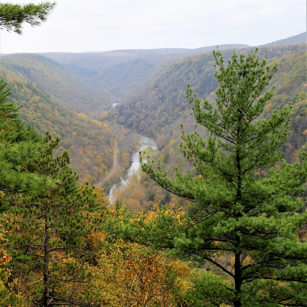 Wellsboro,Pa Little Grand Canyon Photograph