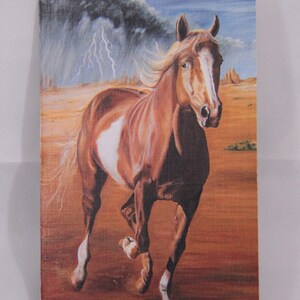 Cartes de correspondance vierges Cheval sauvage