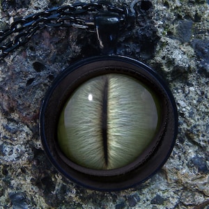 Dragon Eye bagliore negli occhi grigio scuro dinosauro occhio occhio verde lucertola occhio Glow collana Dragon ciondolo d&#39;ardore gioielli occhio pendente d&#39;ardore occhio