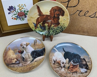 Vintage Dog Collector Plate: Irish Setter, Labrador Retriever