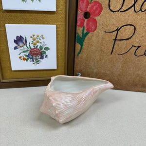 May include: A pink seashell planter with a white interior. The planter is sitting on a light gray surface.