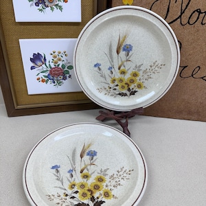 値下げ 超レア当時物vintage NIKKO JAPAN食器セット 昭和レトロ Yahoo