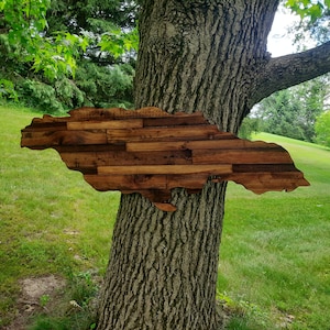 May include: A wooden cutout of the island of Jamaica, painted in shades of brown, is leaning against a tree trunk. The cutout is made of reclaimed wood planks.