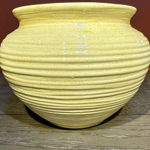 May include: A yellow ceramic planter with a ribbed design. The planter has a speckled finish and a rounded shape.