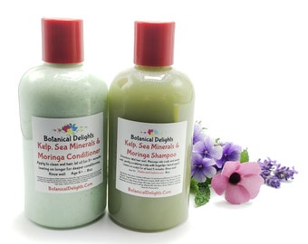 Kelp Moringa Sea Minerals Scalp Balancing Botanical Shampoo for Hair Growth, Restores balance to your scalp’s natural fungal ecosystem