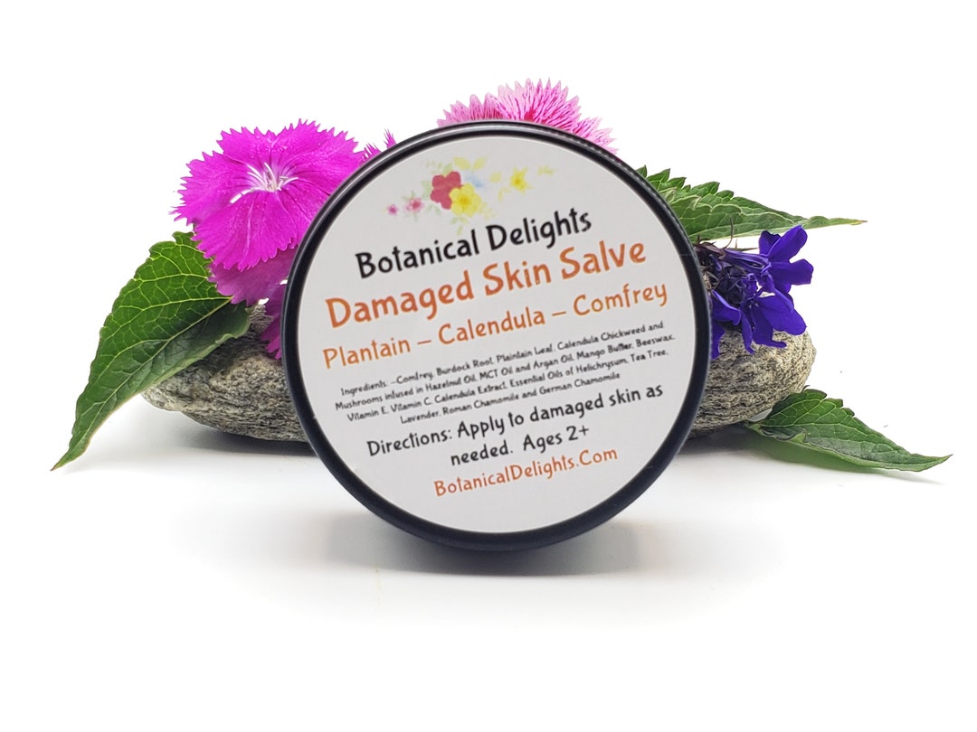 Damaged Skin Herbal Balm With Comfrey, Plantain, Calendula and